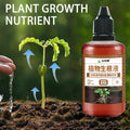 Fast Rooting Stimulator - Rapid Rooting Agent for Plants and Houseplants