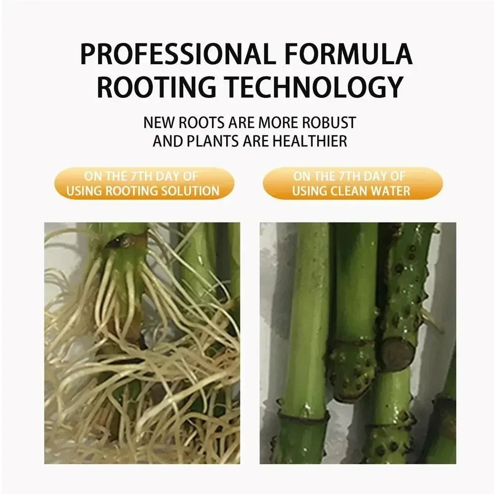 Fast Rooting Stimulator - Rapid Rooting Agent for Plants and Houseplants